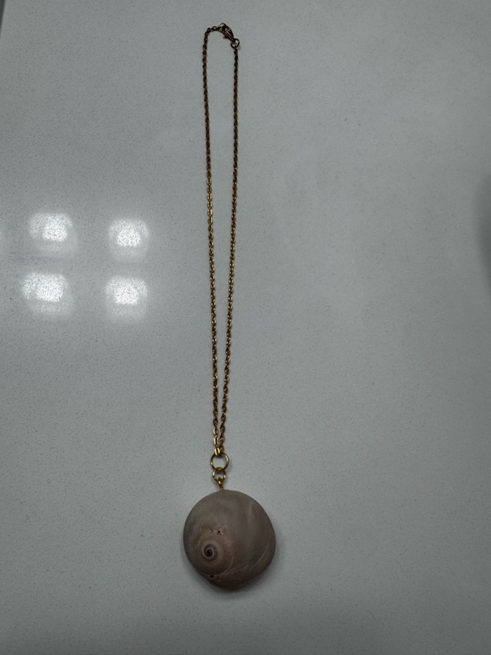 Shark eye seashell pendant with gold plated chain